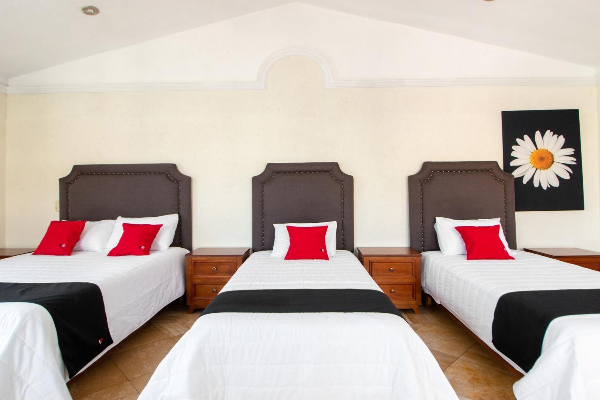 Capital O San Jose, San Luis Potosi Hotel ภายนอก รูปภาพ